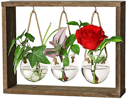 Wasserausbreitungsstation, Vintage-Luftterrarium Mit Holzrahmen, Kreatives Blumenterrarium Mit Holzständer, Mini-Reagenzglas-Blumenvase, Glas-Blumentopf Für Hydrokultur-Hausgarten-Dekoration, Geschenk