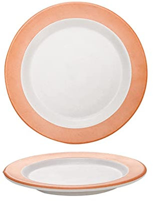 Snowflyk Plato Llano Platos Llanos de melamina Platos de Postre Redondos de melamina de 10 Pulgadas Platos de Picnic para Vacaciones en casa Fiesta Break-Resi (A 12.36INCH)