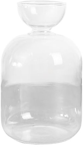 Vase, Avocado -Samen Starter Vase 3.4x5,4 Glas Avocado -Vase für Glühbirnen wachsen minimalistische Knospenvasen kleine Pflanzentopfvase für Wasserwurzel und Innendekoration Geschenke