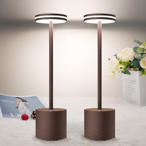 Lampada da Tavolo Ricaricabile LED,2 Pezzi 5000mAh Senza Fili,Comodino | Luce a Batteria USB Dimmerabile,3 Modalità di Colore,per Camera da letto Tavola,Ristorante,Alluminio(Ruggine)