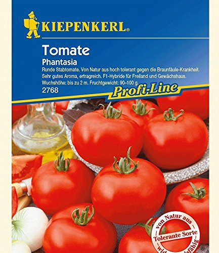 Kiepenkerl Tomaten 'Phantasia' F1,1 Portion
