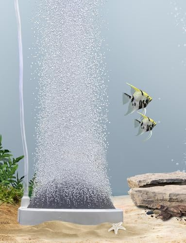 Boxtech Aquarium Pierre a Air, Difusor de aire para acuariofilia, para silenciador, difusor de oxígeno para peces, camarones y plantas hidropónicas (80 mm, bomba de aire no incluida)