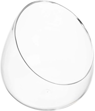 OSALADI Recipiente de Vidrio Transparente Micropaisaje Suculento para Decoración de Dormitorio y Oficina, Botella Ecológica Biselada para Plantas de Escritorio