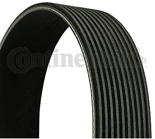 Contitech 10PK1162 Keilriemen geriffelt