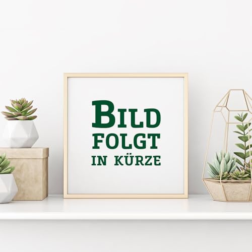 Kölle Bio Süßkirsche 'Burlat' (Alkavo), im Topf 10 Liter