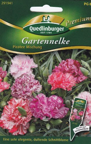 Gartennelken, Picotee Mischung