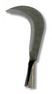 Flores cortés – Falce. cc-c 230 x 60 MMS.