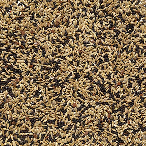 Il Contadino - Antichi Becchimi | MISCUGLIO per CANARINI | Formula Ricca di Semi Selezionati Adatta per Tutto L'Anno, No OGM, 100% Vegetale, Assenza di scarti. qualità Superiore (1 kg)