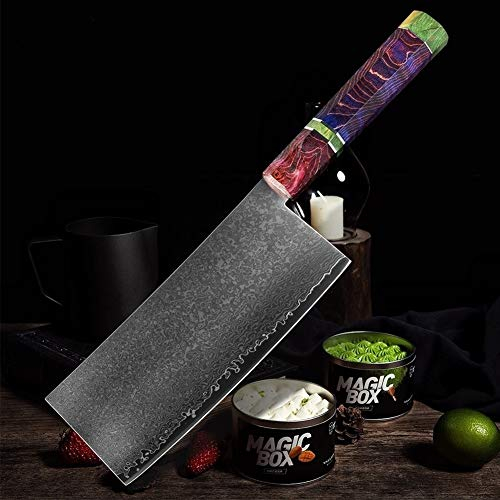 ECLAYA Couteau de cuisine en acier Damas 67 couche Couteau de chef chinois de Sharp Cleaver Peeling légumes Couteau Accueil Hôtel Outils de cuisine