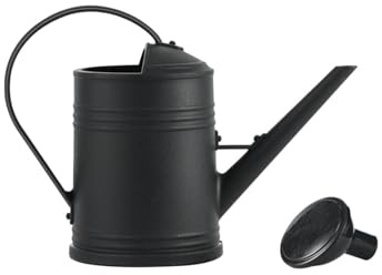 GießKanne Klein, Mini GießKanne, Giesskanne Klein, Giesskanne Zimmerpflanzen,Watering Can Mit Abnehmbarer Brause PflanzengießKanne BlumengießKanne DekogießKanne (Schwarz)