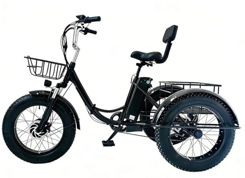 20 Pollici Bicicletta Elettrica a 3 Ruote per Adulti,Triciclo a Pedali Con Pneumatici Larghi Da 20'' Con Cestino Della Spesa, Clacson E Display Lcd,Scooter per La Spesa per Anziani,Carico 200 Kg
