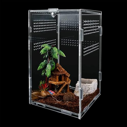 Faunarium Acryl Terrarium Insektenterrarium, Allzweckbehälter für Reptilien und Amphibien, für Sprungspinnen, Vogelspinnen, Schnecken, Frösche und Insekten, 12 x 12 x 20 cm