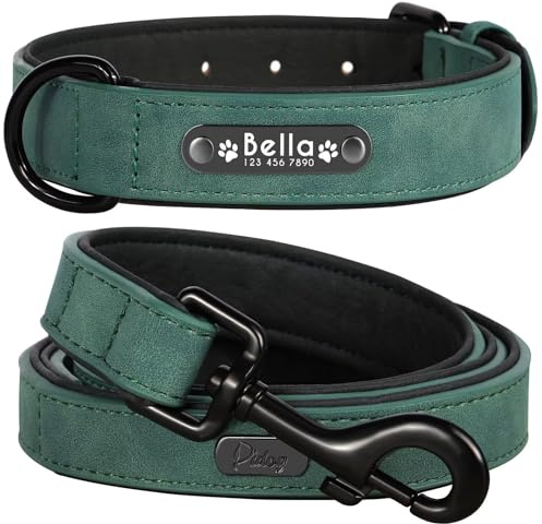 Didog Hundehalsband, weiches, gepolstertes, Leder, mit personalisierbarem, graviertem Namensschild, D-Ring. Für kleine und mittelgroße Hunde geeignet.