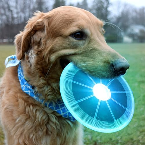 XUBX Frisbee für Hunde und Haustiere – LED-Beleuchtung, Anti-Miss, Wurftraining – Spielzeug für Haustiere