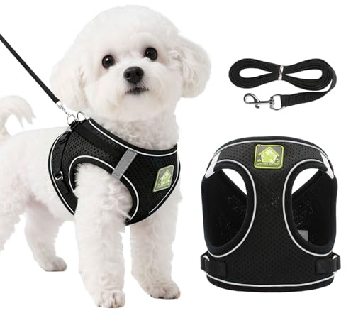 DOINEUFL Puppy Harness, Dog Harness and Leash Set, Soft Mesh Reflective Breathable Lightweight Vest-Style Dog Harness with Safety Buckle for Small and Medium Dogs, Cats, Puppies (Black, XS)