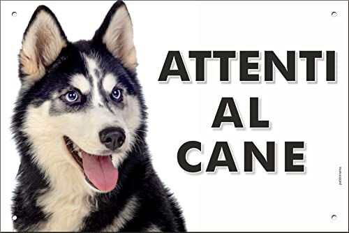 Pubblimania Cartello Attenti al Cane Siberian Husky - Targa Segnaletica in Alluminio composito 3 mm di spessore - Resistente alle Intemperie e ai Raggi UV - Fori Pre-perforati (Cm 20x30)