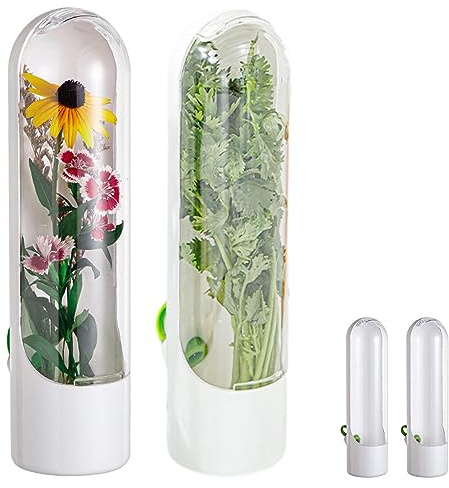Jiakalamo 2 piezas Conservador de hierbas para refrigerador, contenedor de cilantro, con tapa frontal transparente, contenedor de hierbas frescas para perejil, almacenamiento de verduras, mantiene las