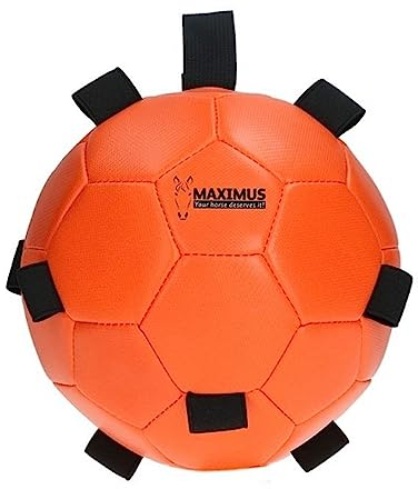 Holland Fun Play Ball - Pelota de juguete para caballos (comedero), color naranja