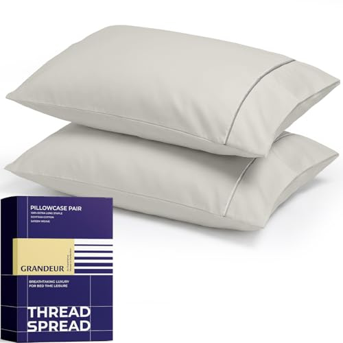 THREAD SPREAD 100% Egyptian Cotton Pillow Cases Queen Size Set of 2 - Luxury 2000 Series Queen Pillow Cases (21” x 32”, Light Grey), Soft Cooling Envelope Closure Hotel Egyptian Cotton Pillowcases
