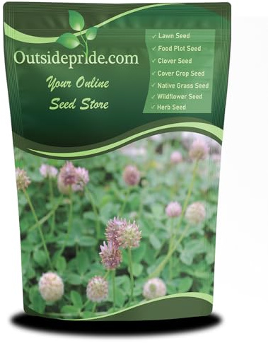 Outsidepride Perennial Strawberry Clover Seed 5 lbs - Large-Leaved, Drought-Resistant, Easy to Grow Clover Ground Cover Seeds - Ideal for Pasture, Hay, Alternative Crops, Farming, & Erosion Control