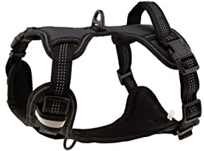 Floxik Hundegeschirr grau S | Anti Zug Brustgeschirr reflektierend & gepolstert mit Haltegriff für mittelgroße und große Hunde | Auch als Welpengeschirr geeignet