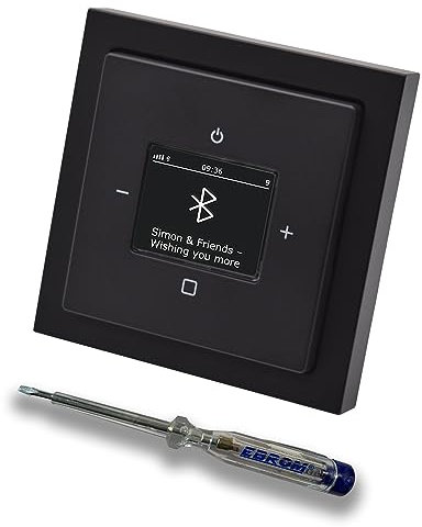Busch Jäger DAB+ Unterputz Bluetooth (in and out) Radio (8217U-101) Future Linear Anthrazit, Komplett-Set 8217 U – 101, Rahmen und Radioabdeckung inkl. EBROM Phasenprüfer zur Montage des Geräts
