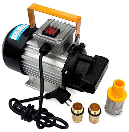 wrtgerht Mini-Pompe à Petite Puissance de Haute qualité 22 0V 750W Machine de Remplissage d'huile de Pompe à Huile d'huile d'huile d'auto-empilement électrique/Diesel