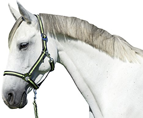 Covalliero Unisex Hippo Kerbl Halfter Nilpferd, Zitrone, Größe 1, anthrazit/Lemon, Pony