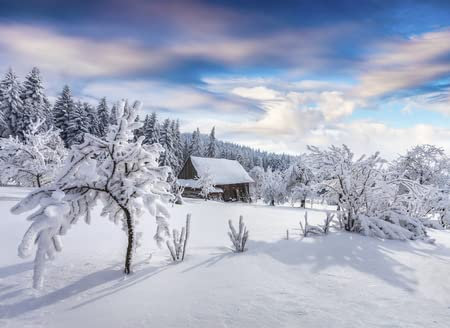 adrium Holz-Bild 120 x 90 cm: Sonniger Wintermorgen im Karpatendorf mit schneebedeckten Bäumen im Garten. Bunte Szene im Freien, frohes neues Feierkonzept. (89492929)