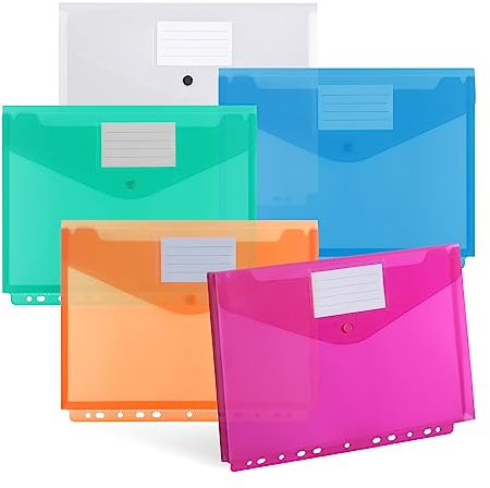 DATEFUN Dokumententasche - 20er Pack, Transparent Sammelmappe mit Binderlöcher und Etikettentasche, Hält 300 Papiere (5 Farben)