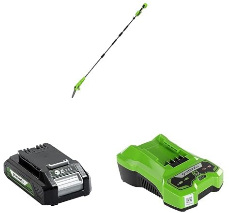 Greenworks Élagueuse sur perche sans fil 24 V 20 cm, longue portée de 2,68 m pour l'élagage des arbres +Batterie 24V + Chargeur de Batterie 24V 2A, Montage mural + Voyant de Charge LED