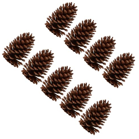 VINTORKY 9 Stück Natürliche Tannenzapfen Dekoration Selbstgemacht Material Groß Rustikal Weihnachtsdeko Wohnzimmer Büro