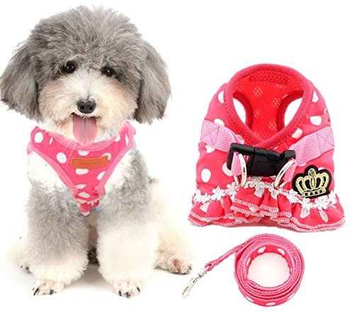 Ranphy Kleine Hunde Hundegeschirr mit Leine Polka Punkt Brustgeschirr Verstellbare Haustier Geschirr für Katze Rosa Größe S