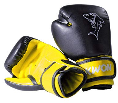 Kwon Kinder Boxhandschuhe Mini Shark 4oz