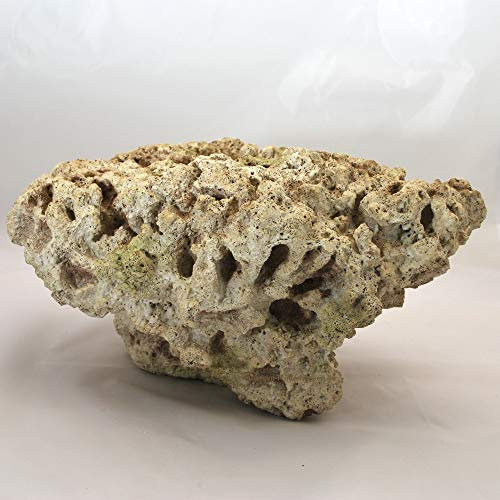 Riffgestein, 37 x 24 x 19 cm, Felsen Stein Nachbildung,Meerwasser Aquarium Deko