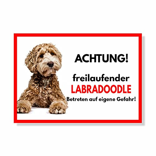 Labradoodle Freilaufender Hund Dog Schild Spruch Türschild Hundeschild Warnschild Geschenkidee Sicherheitsschild Hund Privatgrundstück Hundewarnung Warnung vor dem Hund