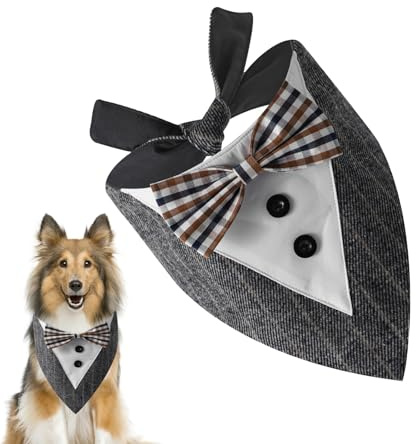Hundhalsdukar för, triangulär hundhalsduk för utomhusbruk, kattunge födelsedagsduk | för halloween för födelsedag för pojke för höst för fest för bröllop för semester