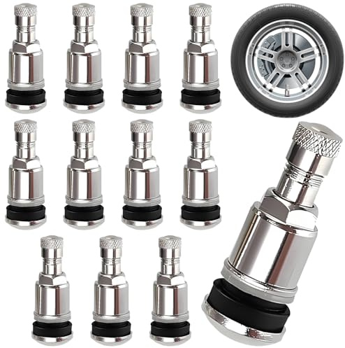 Persiiious 12 Piezas Válvula de Neumático de Metal, 11,3mm Válvulas de Metal, Unidades Válvulas Metálicas Plateadas, para Coche, Moto, Bicicleta, Neumáticos