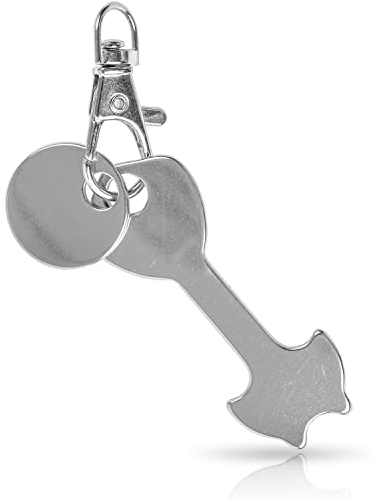 Your Day Mate Sblocco universale per tutti i carrelli spesa, 1 pezzo, in acciaio inox, portachiavi con moschettone e chip per carrello spesa, chip di sblocco per carrello spesa rimovibile