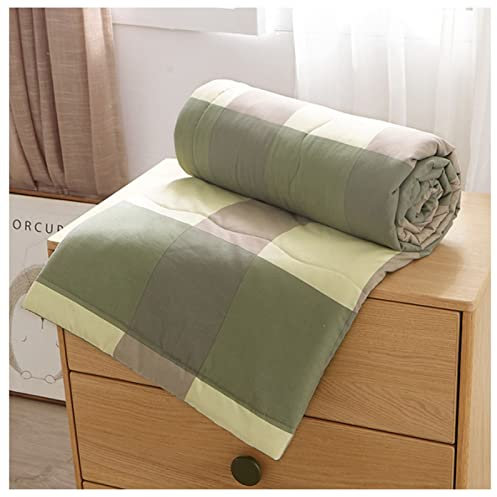 RRNAR Sommer Bettdecke aus Gewaschene Baumwolle, Dünne Steppdecke für Einzelbett, Wendedesign Sommerbettdecken ohne bezug nutzbar, Leichte & Weiche Sommerdecke,C,100x150cm