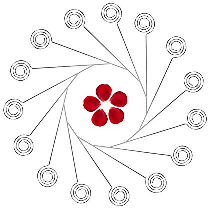 50 Pièces Porte Photo Pince, Porte Photo Mémo Clip, Porte-cartes Photo en Métal, Support Photo Pince pour La Carte Mémo Photos de Mariage Décoration(Round)