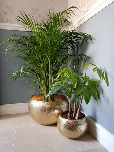 Hammered Gold Plant pots. Set of 2. Plant pot for Home and Garden. Plant Pots Handcrafted. Make great Ice Buckets also for Summer Parties/BBQ