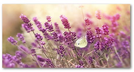 Tulup Leinwandbild - Wandkunst - Drucke auf Leinwand - Leinwanddruck -100x50 cm - Blumen & Pflanzen - Lila - Lavendel
