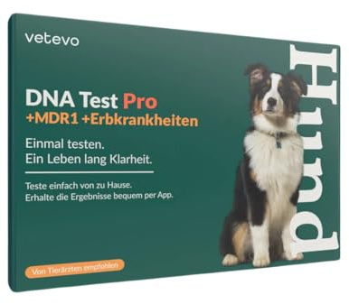 vetevo DNA Test Hund - Rassen & 175+ Erbkrankheiten - 350+ Hunderassen | Speichelprobe bequem von zu Hause, Auswertung in der vetevo App, Laborversand inklusive