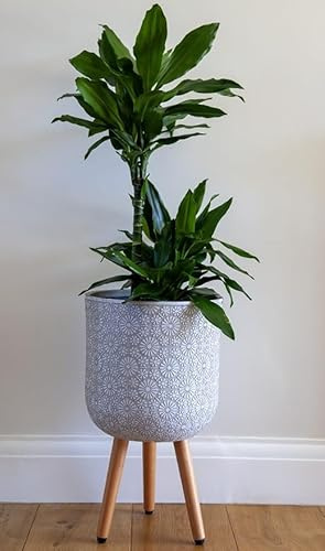 30cm Flower Patterned Planter on Legs - White - Indoor Plant Pot Stonelite