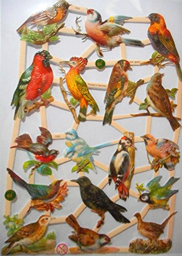 Vogel Vögel EF 7323 Glanzbilder Oblate Posiebilder Scrapbook Deko GWI 564