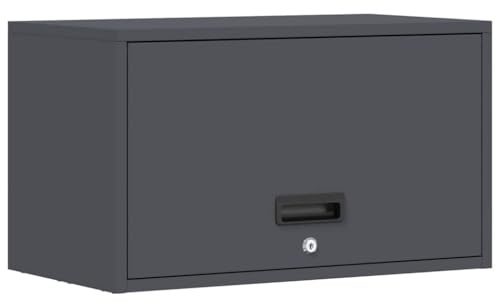 Tomostar Armoire Murale de Rangement Garage, Armoire Suspendue à Outils en Métal pour Atelier Garage Anthracite 60x33x35 cm