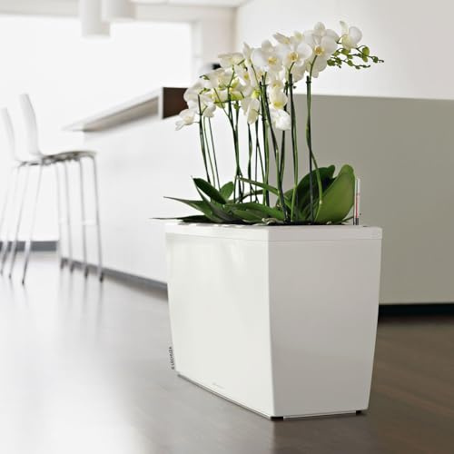 Lechuza Fioriera Rettangolare CARARO 75x30 H43 Vaso con Auto irrigazione Bianco Lucido
