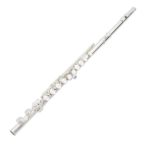 Querflöte Instrument 16-Loch-Flöte Mit Geschlossenem Loch Versilbert Gebogen Für Anfänger Professionelle Performance-Flöte(Bag A)