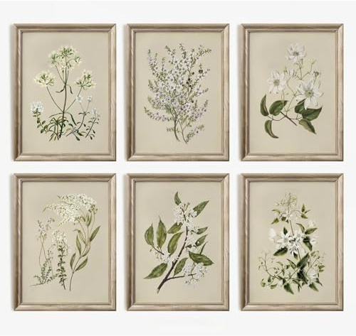 Vintage Botanical Wall Art Set of 6 Neutral Floral Canvas Wall Decor Wildflower Wall Art Watercolor Flower Prints Botanical Poster Minimalist Plant Pictures for Bedroom Living Room 8x10 Inch Unframed